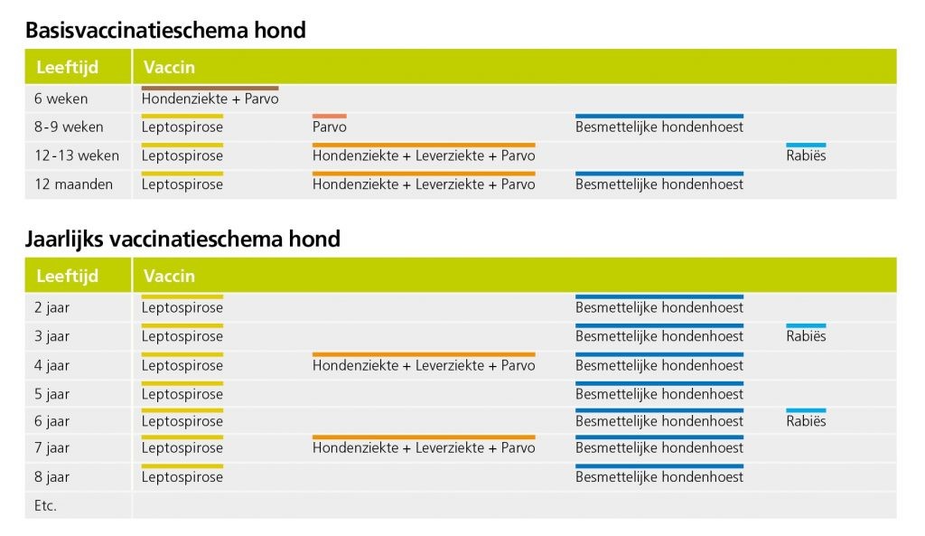 Vaccinatie hond Dierenkliniek Balkbrug Nieuwleusen